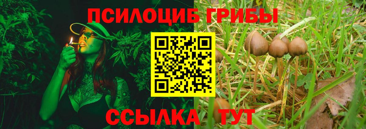 Псилоцибиновые грибы MAGIC MUSHROOMS  Псилоцибиновые грибы MAGIC MUSHROOMS  Вход с VPN  Мурманск 
