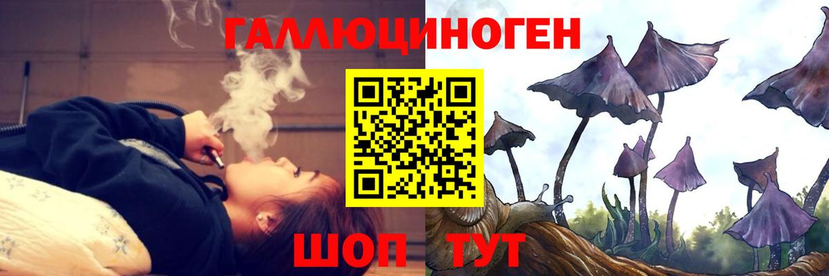 Псилоцибиновые грибы Psilocybine cubensis Мурманск